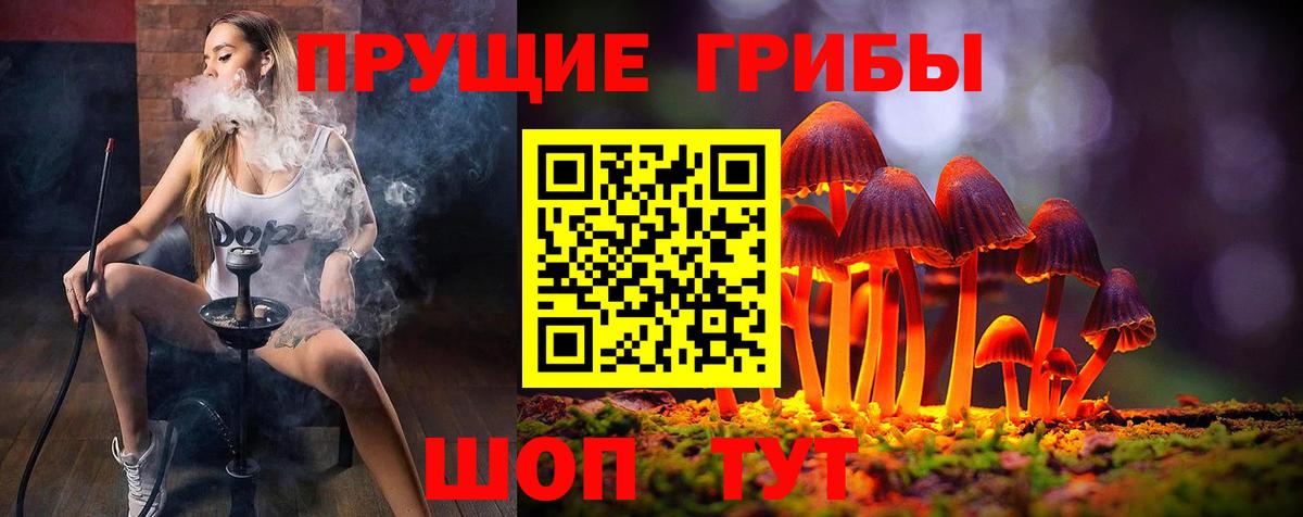 сколько стоит  Вход с VPN  Заводоуковск  Галлюциногенные грибы GOLDEN TEACHER  Псилоцибиновые грибы Psilocybe 